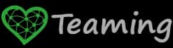 teaming.net Logo