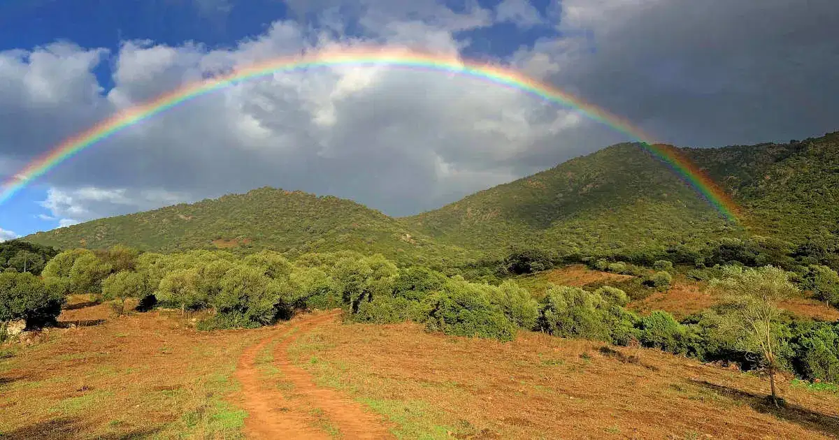 Regenbogen-HP.jpg